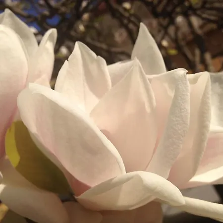 Casetta Randi 26 3* Ravenna