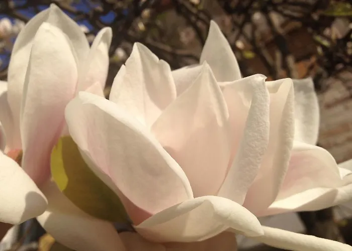 Casetta Randi 26 3* Ravenna